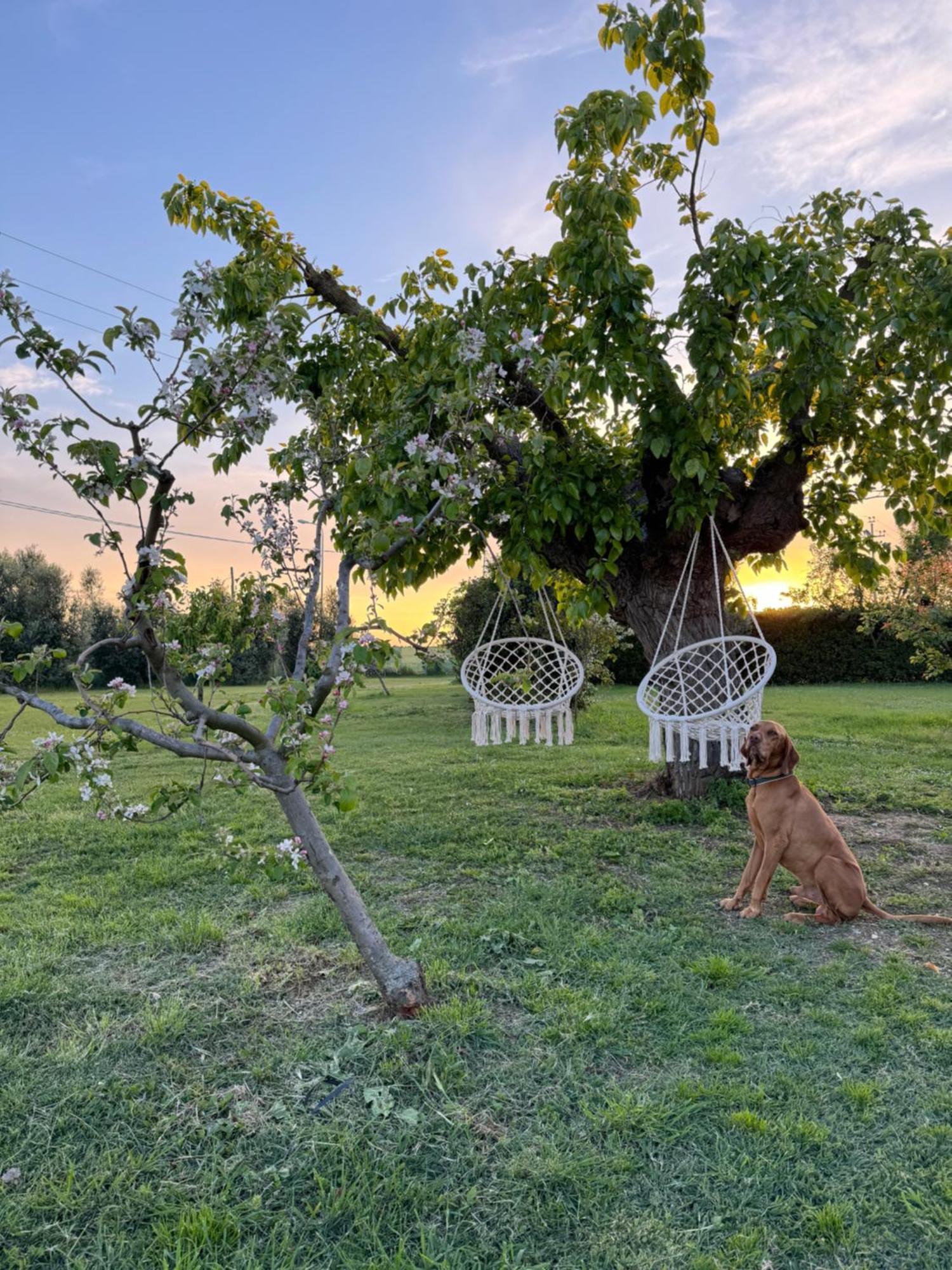 Agriturismo Le Grange Numana Kültér fotó